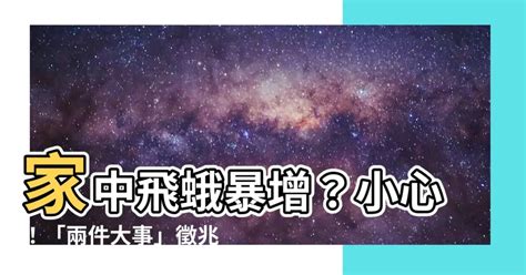 飛蛾 寓意|飛蛾代表幾號？解碼獲獎秘密